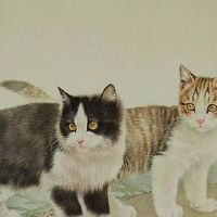 手机号码什么尾数吉利 转运发财的手机靓号