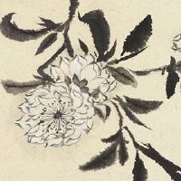 为什么天梁坐命最好 天梁星为吉星且主寿