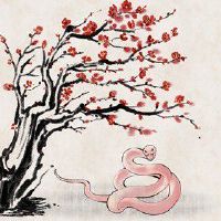 属蛇女2022年的桃花运 桃花盛开运势旺盛