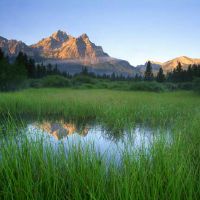 天蝎座和狮子座匹配程度如何 恋爱观是否一致