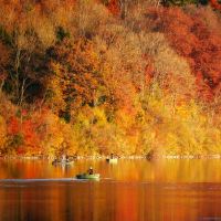 8月份爱情事业双丰收的四个星座是谁