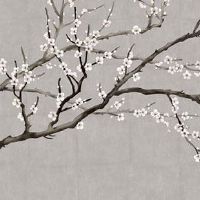 2023年兔年五行属什么命 2023年兔年为什么是黑兔