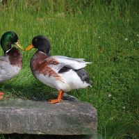 哪些星座在一起它们的婚姻不会白头到老