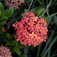 太阳双子座月亮天秤座的性格特点