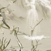 1980年生肖猴女一生三大劫难 四十五岁上下劫难来临