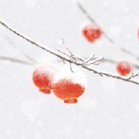 七月半鬼节是农历还是阳历 习俗讲究有说法