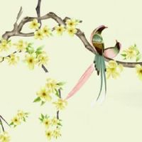 免费八字测一生财富 大富大贵财产把控能力强