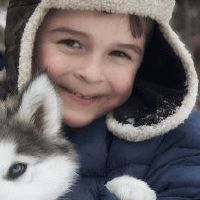 虎宝起名带山带木男孩