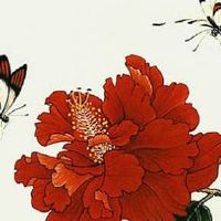 天医磁场手机号13和31的区别 五行大吉大利的靓号