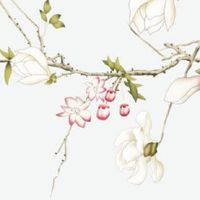 车牌号最后一个是4 寓意子孙满堂财运昌盛