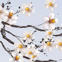 1980年属猴一生有牢狱之灾吗 33岁左右迎来事业劫难