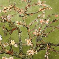 2016年属猴人一生命运 平安喜乐事业发展成功