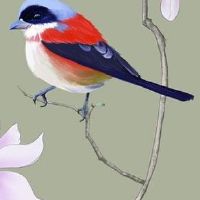 日主合财必富贵 财库充盈事业发展蒸蒸日上