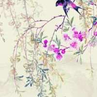 车牌号不能带什么数字 最忌讳的数字是4