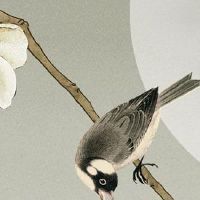 带财的八字有什么特征 事业有成顺心财运旺盛