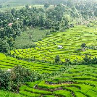 摩羯座和什么星座是注定的星座婚配