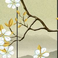 车牌号为什么不要带B 让人联想到一切不好寓意