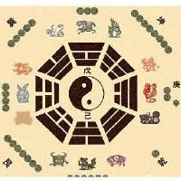 六爻排盘六合六冲艮卦意分析