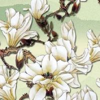 橱柜什么颜色聚财 厨房橱柜忌用黑色和蓝色