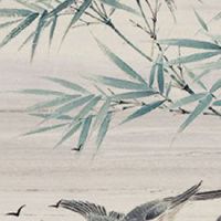 属虎人2022年9月运势运程完整版 生肖虎这个月财富有所增加