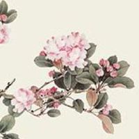 有创意的珠宝名字大全3个字 有个性的玉石企业取名