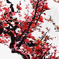 属虎人2022年10月运势运程完整版 生肖虎工作运势上升