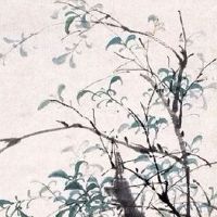 女人八字有双夫的暗示 女命官杀混杂出轨大