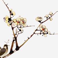 2022年11月15日提车好吗 农历十月二十一是上牌日子吗