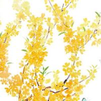 十二生肖属水的号码 财旺福旺的水属性手机号