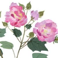 属金号码有几个 发财转运的金属性号码