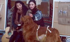 如何运用婚姻挽留的黄金技巧,以言语之力重逢爱人的心灵:深入剖析婚姻挽回金句的艺术与实践