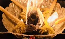 怎样有效应对黑法情降反噬的负面影响?