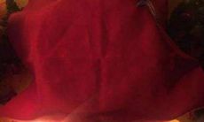 泰国情降是什么